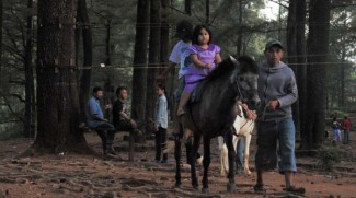 Menyusuri 4 Destinasi Wisata Menarik di Kota Bunga Malino