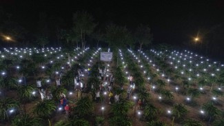 PLN Dorong Peningkatan Sektor Pertanian Lewat Energi Listrik