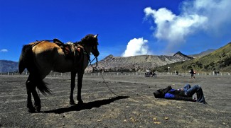 Pembukaan Destinasi Wisata di Probolinggo Dipercepat