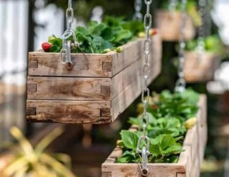 Jangan Dibuang, Kreasikan Palet Kayu untuk Kecantikan Dekorasi Rumah