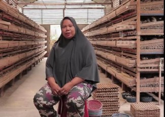 Ibu Rumah Tangga Miliki Omzet Rp200 Juta dari Ternak Burung Puyuh