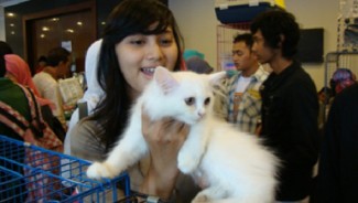 Komunitas Pecinta Kucing UGM Wujudkan Kampus Ramah Peliharaan