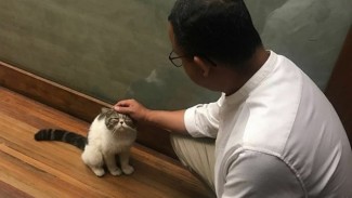 Anies Beri Makan Kucing Liar di Pantai Carnaval Ancol