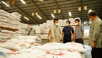 Kementan Pastikan Ketersediaan Jagung untuk Pakan Ternak Aman