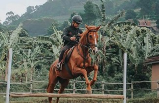 Stable Al Fatih, Berwisata Sambil Olahraga Sesuai Sunnah