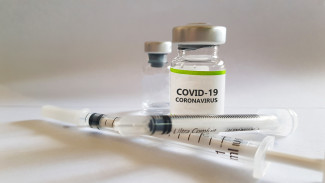 BPOM Terbitkan Izin Penggunaan Darurat Vaksin Zifivax