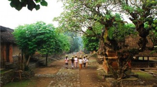 Tenganan Pegringsingan, Desa Wisata Adat Kuno di Bali