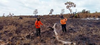 Karhutla Lahan Seluas 55,61 Ha di Kalteng Berhasil Dipadamkan