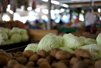 Kementan Siapkan Aplikasi Deteksi Ketersediaan Pangan