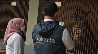 Hari Pertama Buka, Ragunan Langsung Diserbu Pengunjung