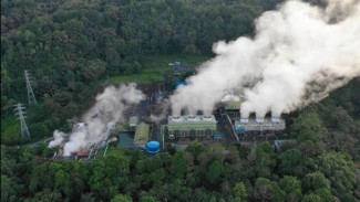 Kejar Target EBT dan Penurunan Emisi, PLN-CEIA Perkuat Kolaborasi