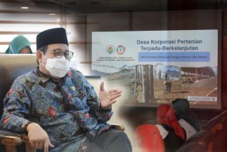 Indeks Ketahanan Pangan Turun, Kemendes PDTT Gagas Program Desa Peternakan Terpadu