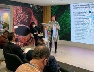 PLN Dukung Indonesia Pimpin Perdagangan Karbon Global