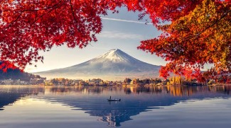 Rekomendasi Tempat Menginap Bagi Traveller Muslim di Tokyo