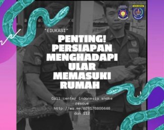 Musim Hujan, Persiapan Menghadapi Ular Masuk ke Rumah