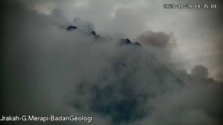Gunung Merapi Semburkan Wedus Gembel Sejauh 1,8 Km