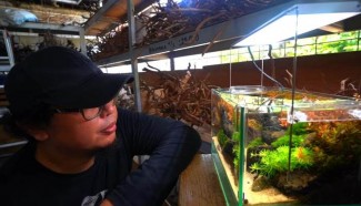 Muslim Ini Berhasil Kembangkan Usaha Aquascape