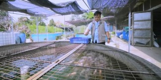 Hasilkan Rupiah Sekaligus Atasi Masalah Sampah Organik