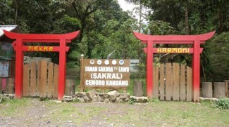 Taman Sakura Lawu, Wisata Perhutani Berkonsep Alam