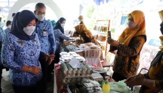 UMKM Didorong untuk Segera Go Digital