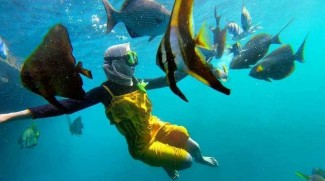 Wisata Rumah Apung Bangsring, Sensasi Berenang Bersama Babyshark