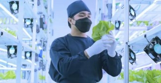 Manfaatkan Teknologi, Milenial Ini Hasilkan Produk Pertanian Unggul