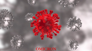 Kasus Omicron di Indonesia Diduga dari WNI yang Baru Tiba dari Nigeria