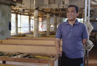 Raup Untung dari Budi Daya Jangkrik, Rp18 Juta Sekali Panen