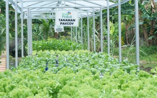 Gandeng Ditjen Hortikultura Kementan, PLN Hadirkan Listrik Andal untuk Electrifying Agriculture