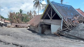Penanganan Korban Terdampak Erupsi Semeru Masuk Tahap Pemulihan