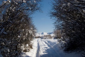 Oman Rasa Swiss, Puncak Pegunungan Hajar Tertutup Salju