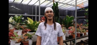 Hidup Mantan Kuli Bangunan Ini Berubah Drastis Berkat Tanaman Hias