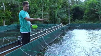 Alih Profesi Saat Pandemi, Muslim Asal Banten Ini Sukses Budi Daya Nila