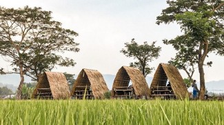 Desa Wisata mBulak Wilkel Suguhkan Hamparan Sawah yang Mempesona