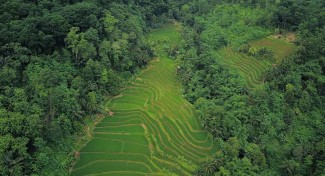 Mengulik Keindahan Alam dan Budaya Desa Selasari