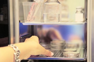 Apa Itu Egg Freezing? Buya Yahya Jawab Hukumnya dalam Islam