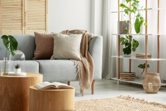 Intip 4 Cara Penerapan Desain Biofilik pada Rumah Tinggal