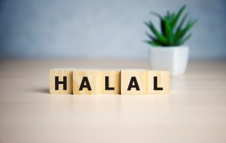 Peran RUU P2SK Perkuat Rantai Nilai Industri Halal
