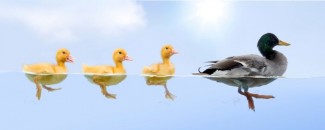 Awas Duck Syndrome, Terlihat Bahagia tapi Sebenarnya Tertekan