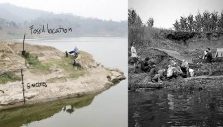Nyaris Terendam, Tim ITB Amankan Fosil di Waduk Saguling
