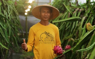 Petani Banyuwangi Raup Omzet Ratusan Juta Berkat Listrik PLN