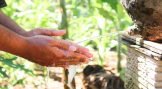 Berikut 6 Rukun Wudhu Dalam Kitab Safinatun Najah Mazhab Syafii