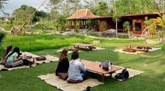 Ini 5 Cafe dan Resto dengan View Sawah Buruan Milenial Yogya