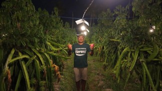 Didukung Listrik PLN, Petani Muda Ini Bawa Pertanian Bali Kian Modern