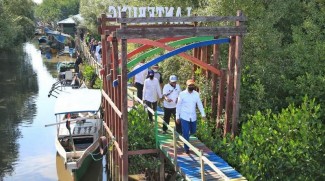 Hutan Mangrove di Pesisir Papua Berperan Menjaga Kestabilan Iklim Global
