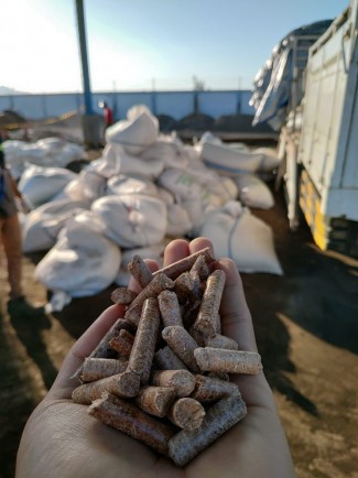 Kebutuhan Biomassa PLTU Pelabuhan Ratu & Rembang Akan Dipasok Perhutani