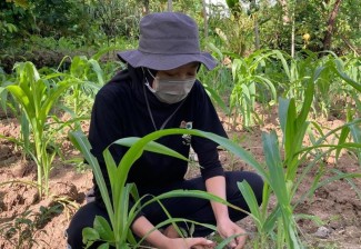 Gandeng KMK Undip Semarang, Perhutani Lakukan Penanaman di Klaten