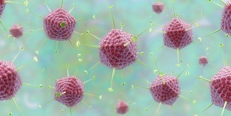 Mengenal Adenovirus, Terduga Penyebab Hepatitis Misterius