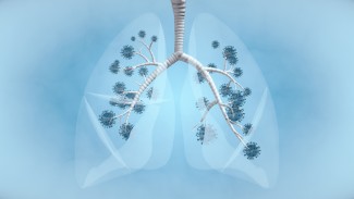 Ini Gejala Awal dan Pencegahan Hepatitis Akut Misterius
