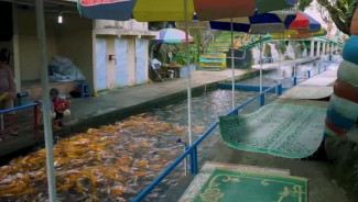 Ubah Sungai Kotor Jadi Lahan Produktif, Mbah Bagong Bikin Watergong